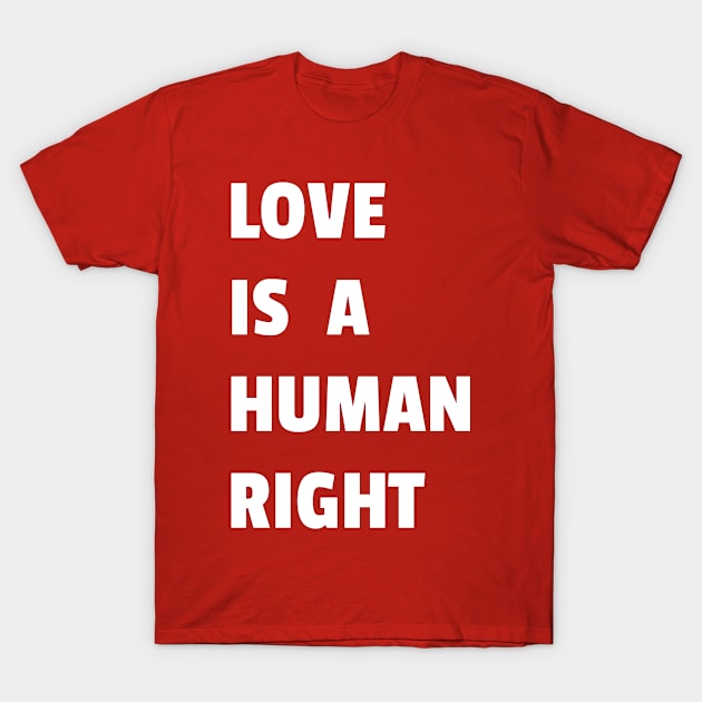 Love is a Human Right (White) T-Shirt by BiLifeClothingCo